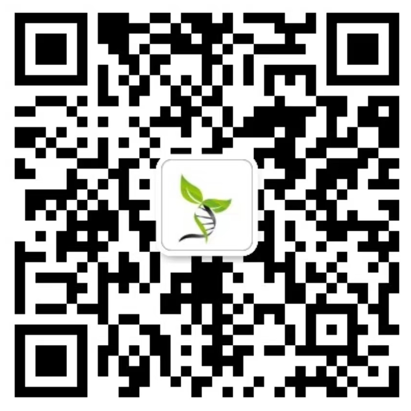 service qrcode